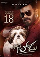 Gaalodu 2022 Hindi Dubbed 480p 720p 1080p FilmyZilla